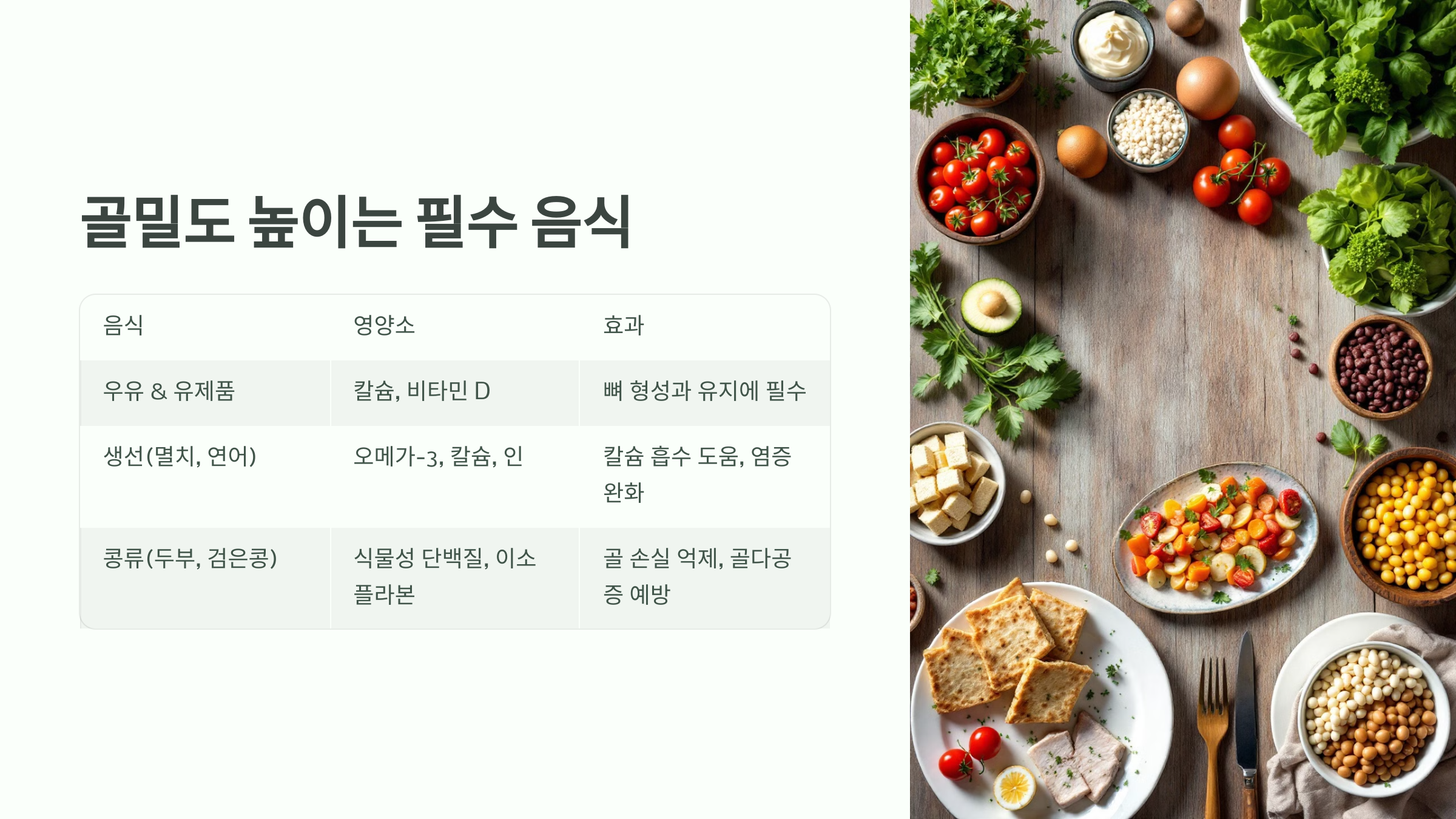 골밀도 관련 사진