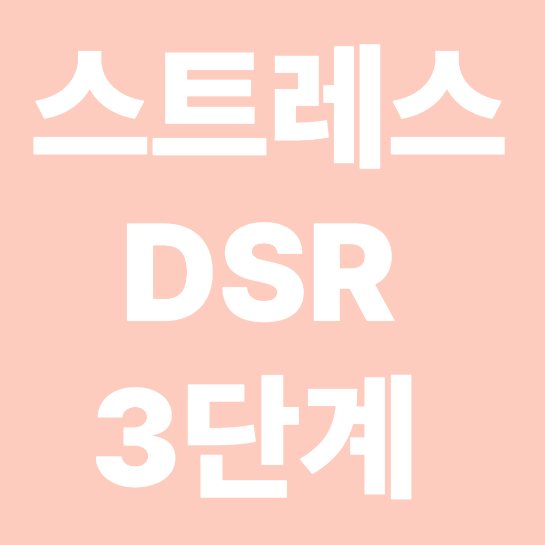 스트레스 DSR 3단계