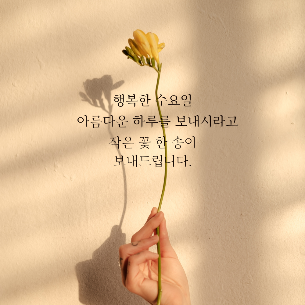 수요일 아침 인사말 문구 이미지 모음