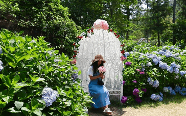 해남 포레스트(4est) 수목원 수국축제 입장료&amp;#44; 주차장&amp;#44; 맛집 