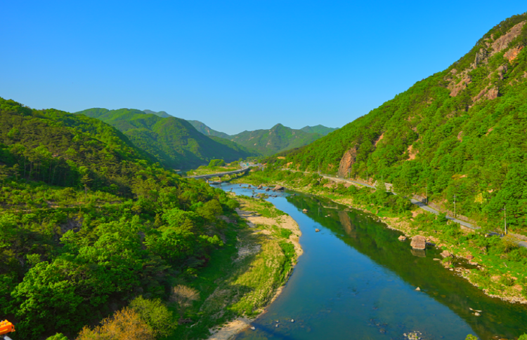 월영산 출렁다리