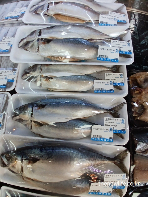 단백질과 오메가3가 풍부한 고등어 – 단백질 부족 증상 예방을 돕는 식품