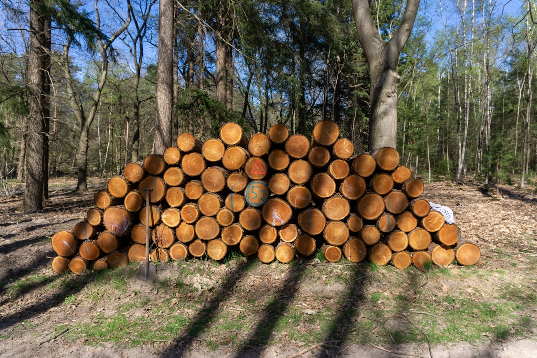 Log