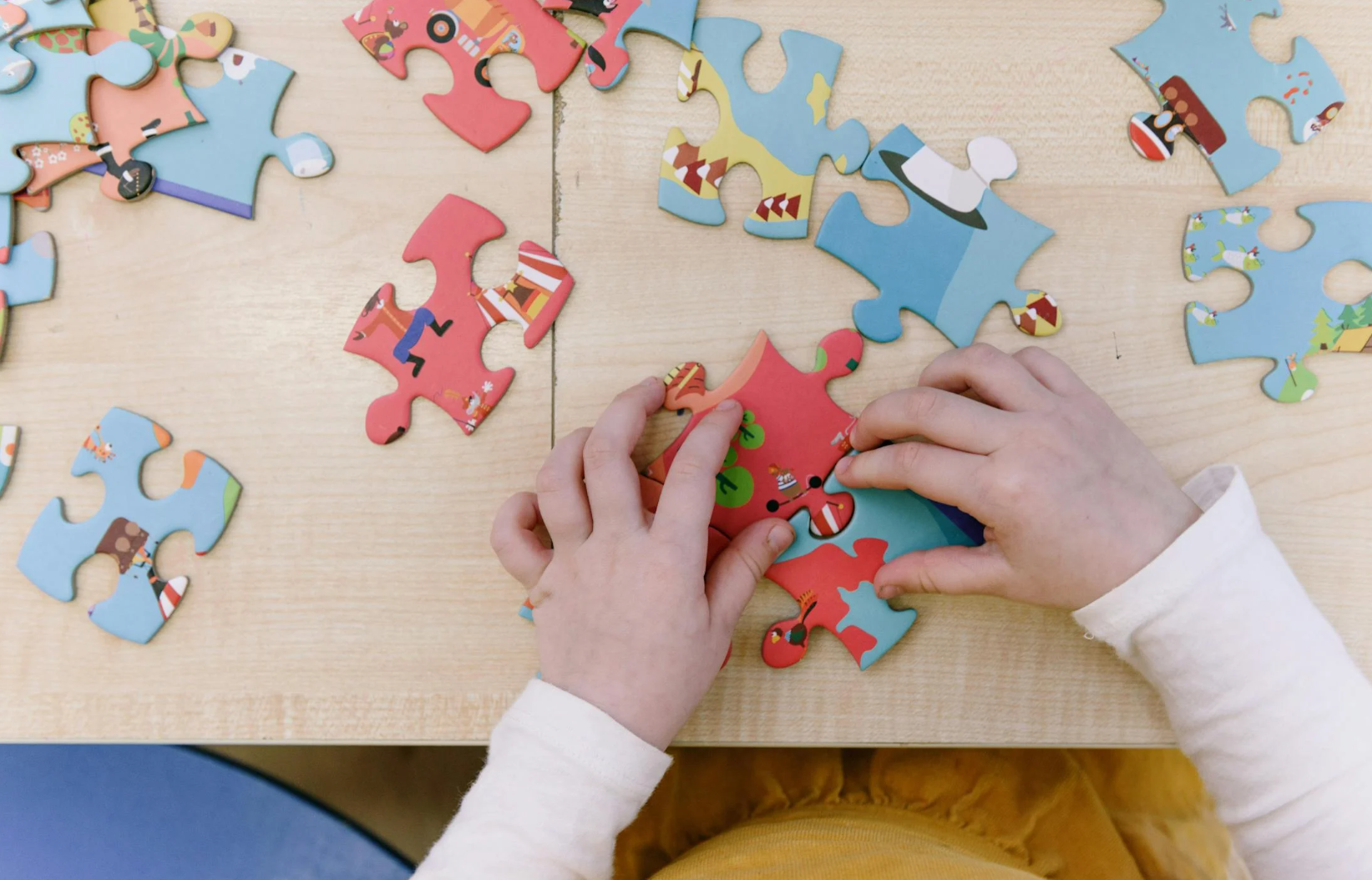 인지관련 사진(뇌질환)