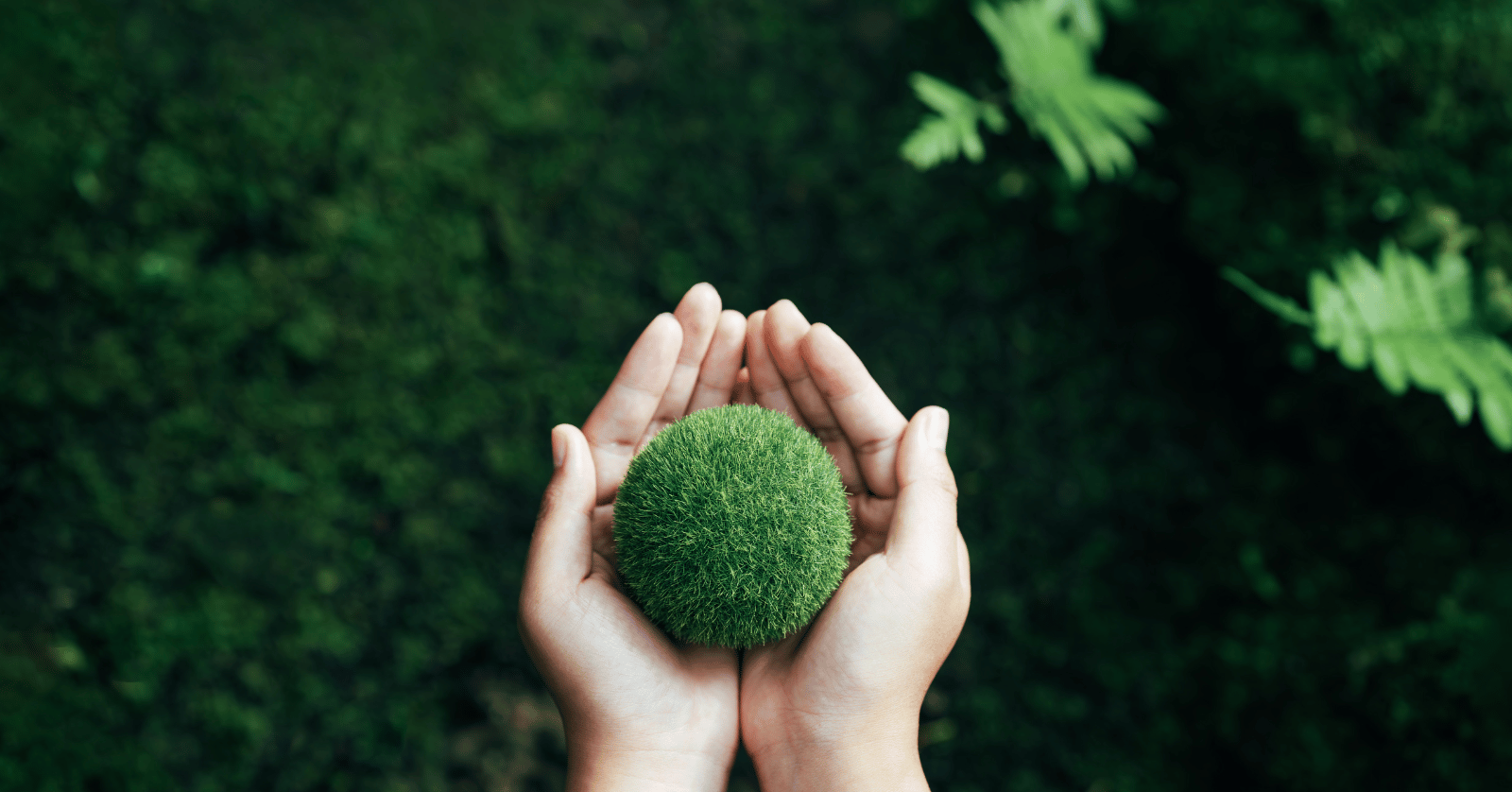 후불 기후동행카드