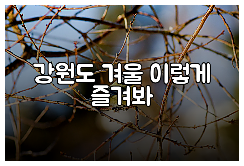 강원도 겨울 이렇게 즐겨봐