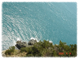 부산 가볼만한곳 태종대