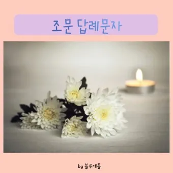 친구 부모님 돌아가셨을 때 위로 문자 모친상 위로말_4