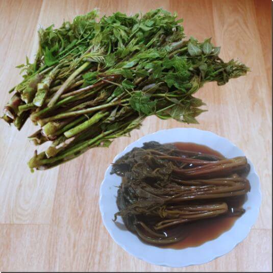 엄나무순 먹는 법과 주의점, 엄나무순과 장아찌