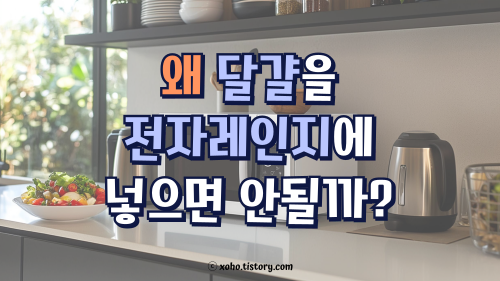 왜 달걀을 전자레인지에 넣으면 안될까?