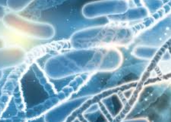 50대 장 건강 개선법과 식단, 유산균보다 더 중요한 건?