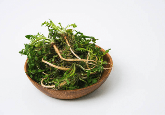 청명(淸明) 절기에 즐기는 봄나물 가이드