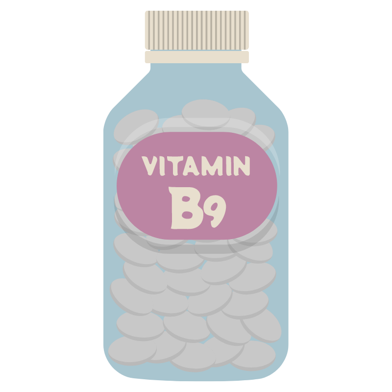 비타민 B 일러스트