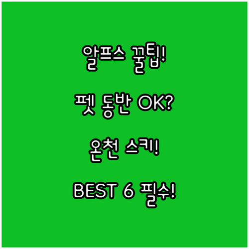 반려동물 동반 가능 숙소부터 온천 스..