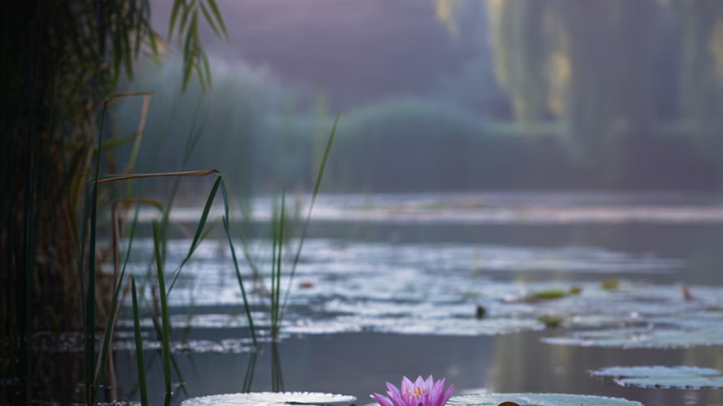 인상주의란 무엇일까?