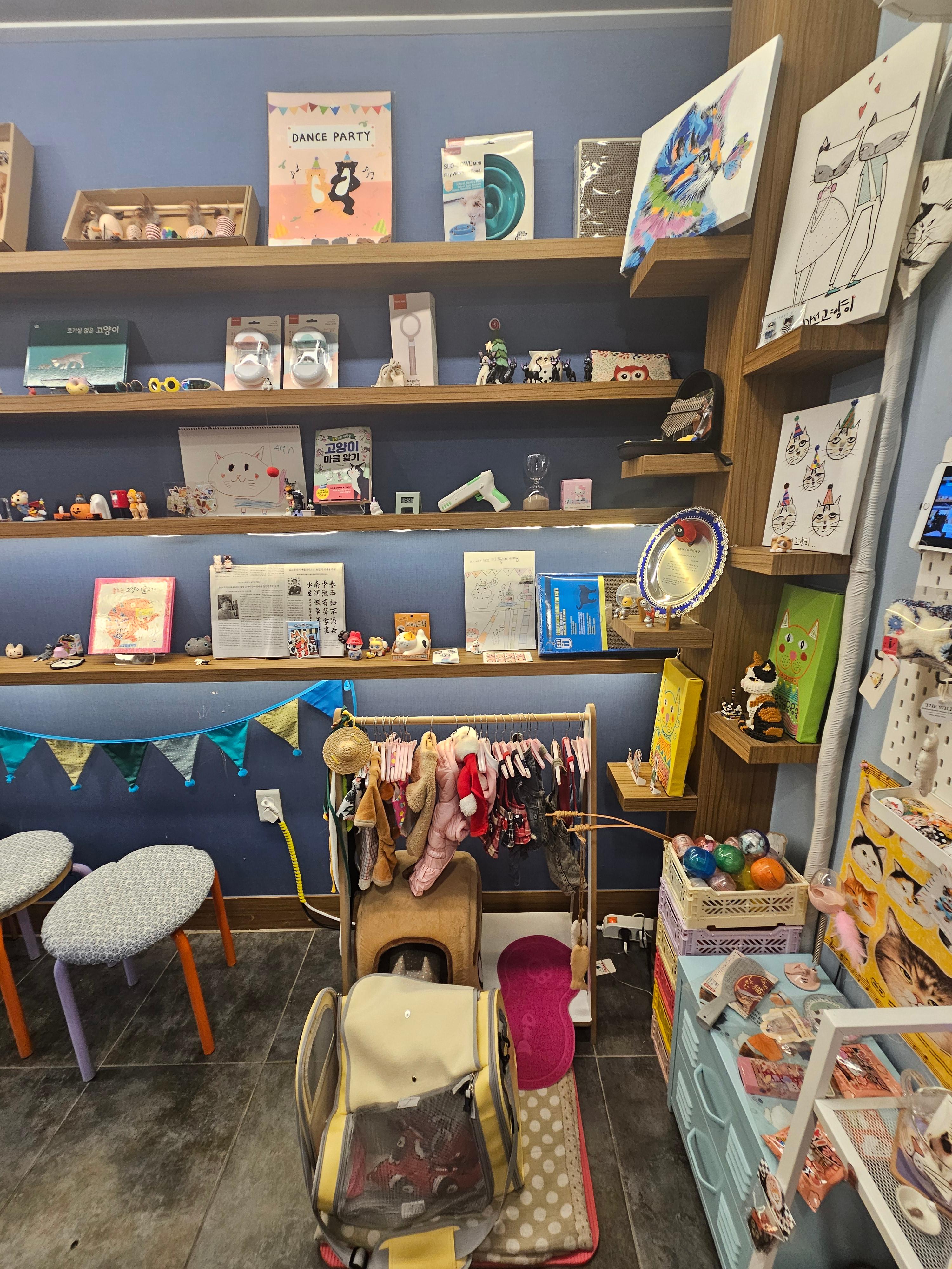 미쓰 고양이 내부 사진