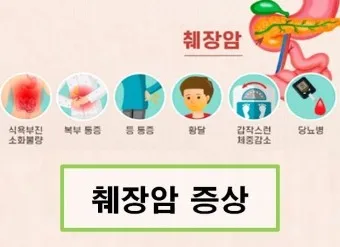 췌장암 초기 증상 췌장암 등통증 위치 검사_6