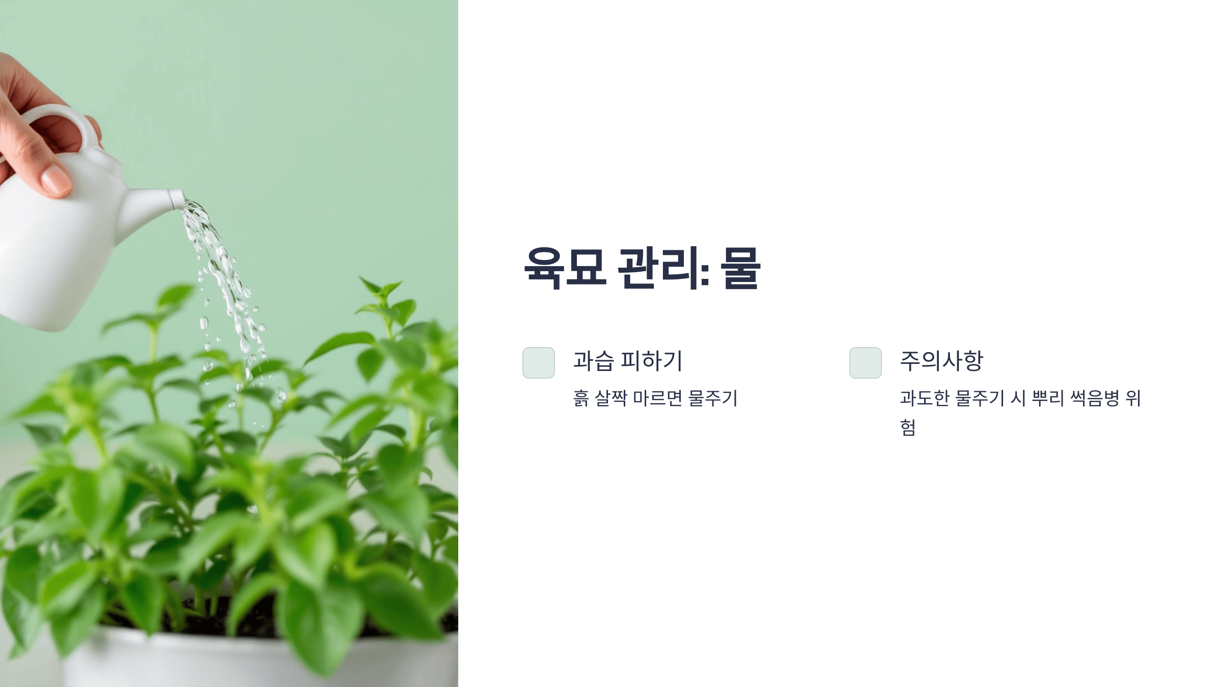 고추 사진입니다.