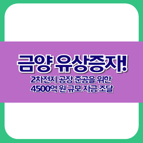 금양 유상증자!: 2차전지 공장 준공을 위한 4500억 원 규모 자금 조달