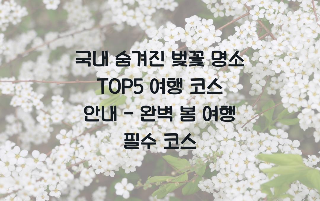 국내 숨겨진 벚꽃 명소 TOP5 여행 코스 안내
