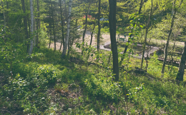 국립한국자생식물원