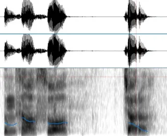 음성의 분석과 합성의 원리 소리 구조와 기술적 응용_18