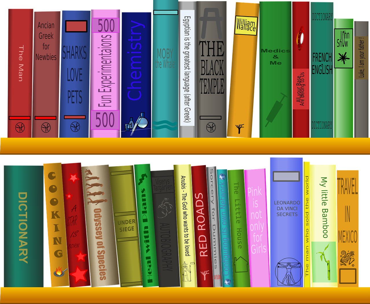 미국 건강서작 TOP10