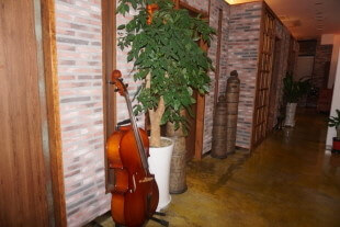 6시 내고향 전북 익산 경양식 맛집 함지박레스토랑