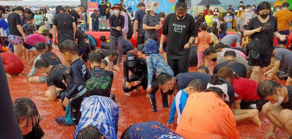 제13회 둔내고랭지 토마토 축제 기본일정과 프로그램 정리 홍진영 나태주 문희옥 영기 강설민 윤수현 박현빈 김완준 설하수 안지완 출연
