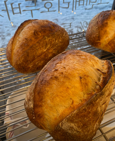 파울로빵집 대표 메뉴