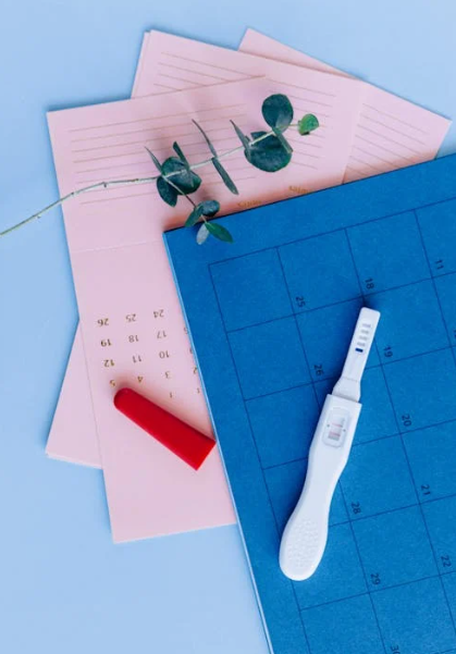 배란 확인 방법의 종류와 의미