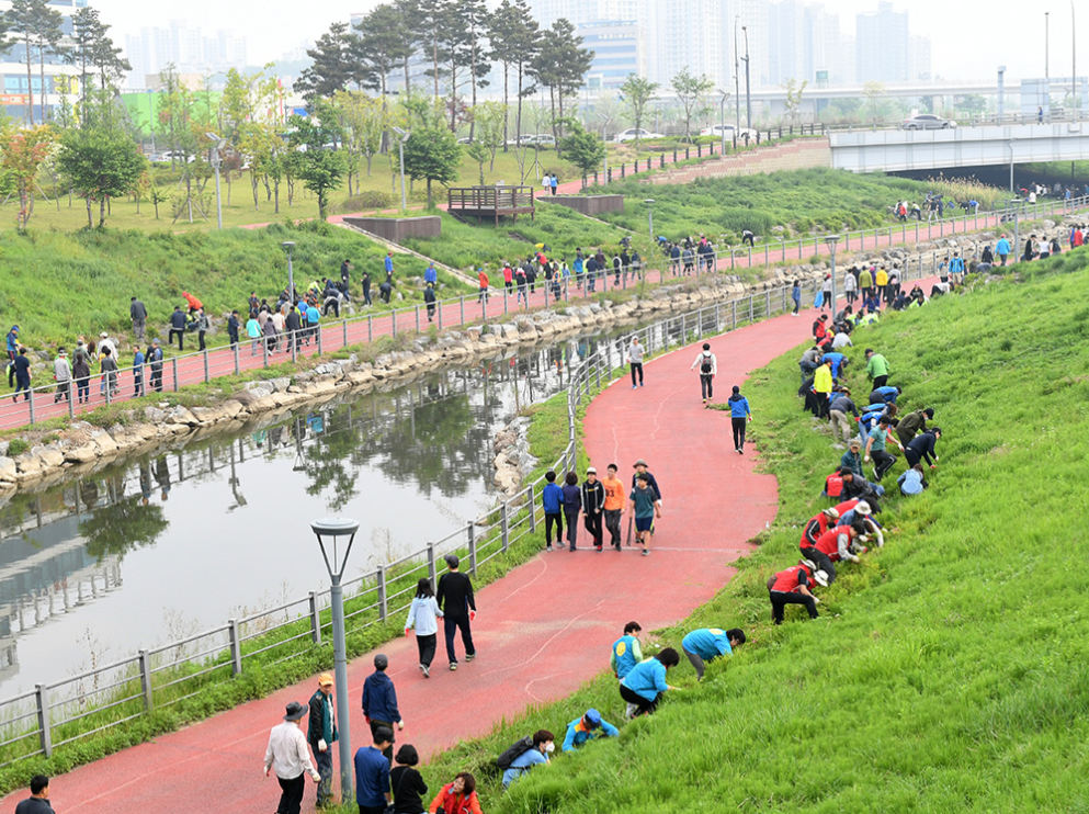 치매예방에좋은봉사활동