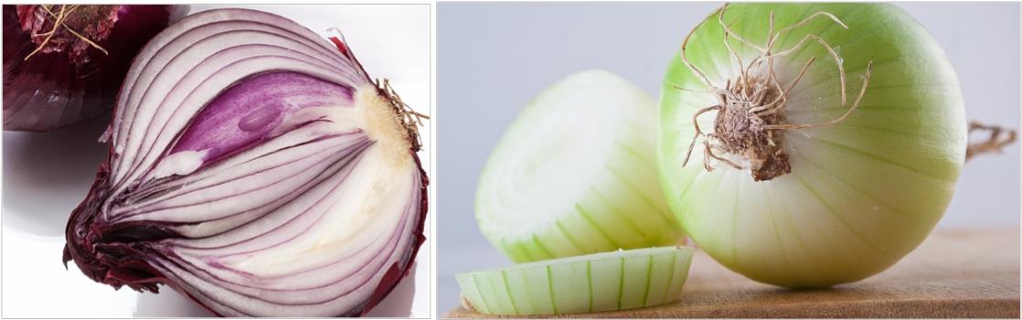 껍질-벗긴-양파-사진들