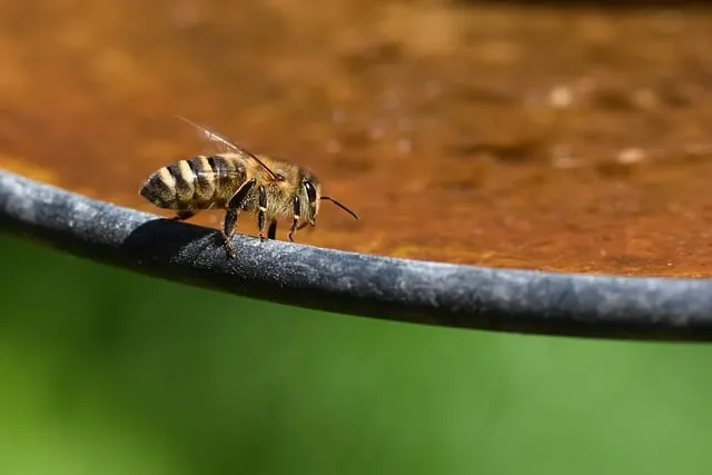 자동급수 화분 선택 물탱크관리 여행중건조 예방 쉬운 사용법_3