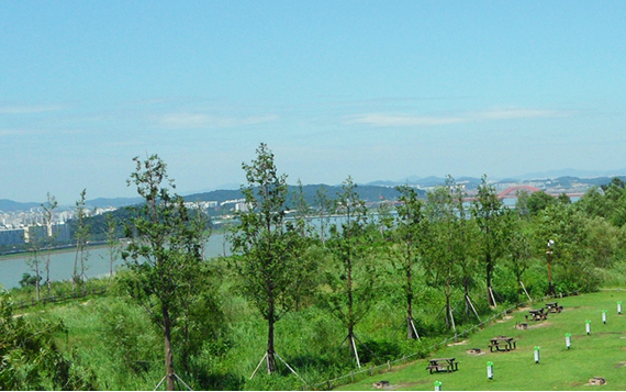 월드컵 노들 캠핑장