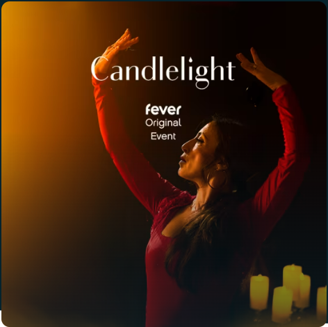 캔들라이트 플라멩고