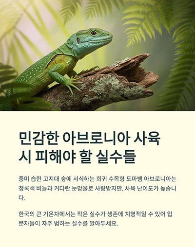 민감한 아브로니아 사육 시 피해야 할 실수들