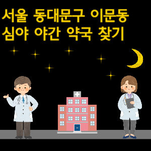 서울 동대문구 이문동 심야 야간 24시 약국 찾기