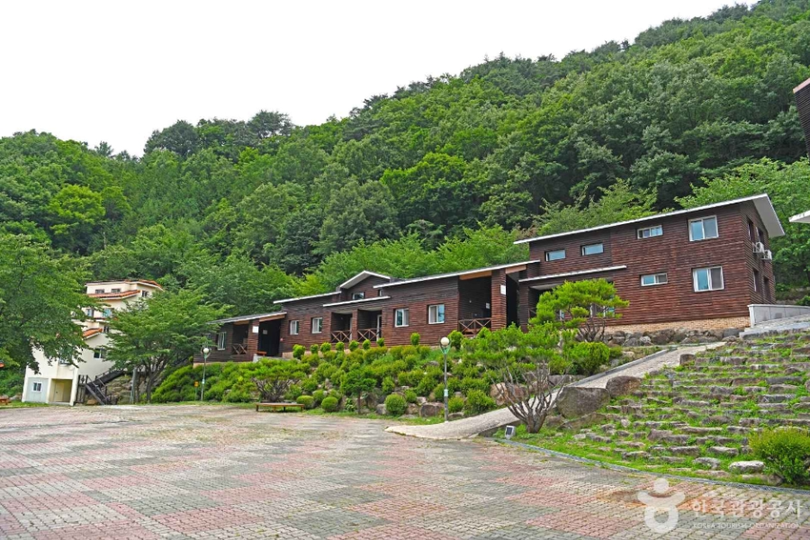 영동 가볼만한 곳