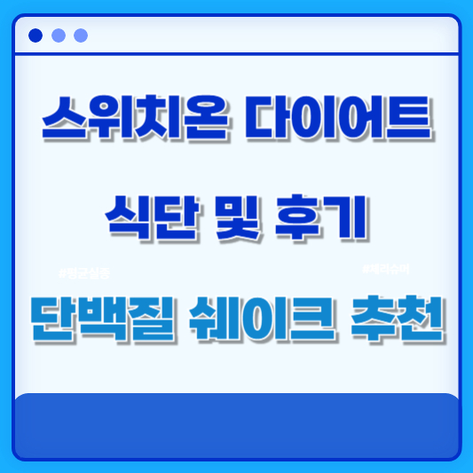 스위치온 다이어트