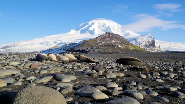 유네스코 세계유산 허드섬과 맥도널드 제도 영토