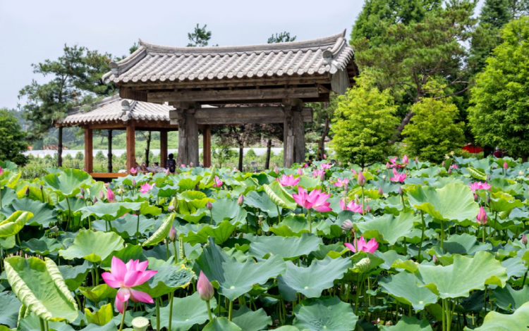 태안 청산수목원