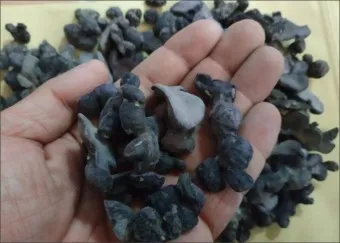 흑생강 효능 슈퍼푸드 칼로리 권장량_10