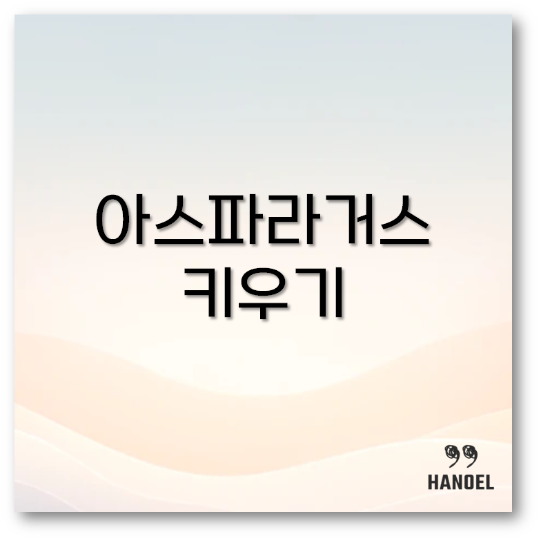 아스파라거스