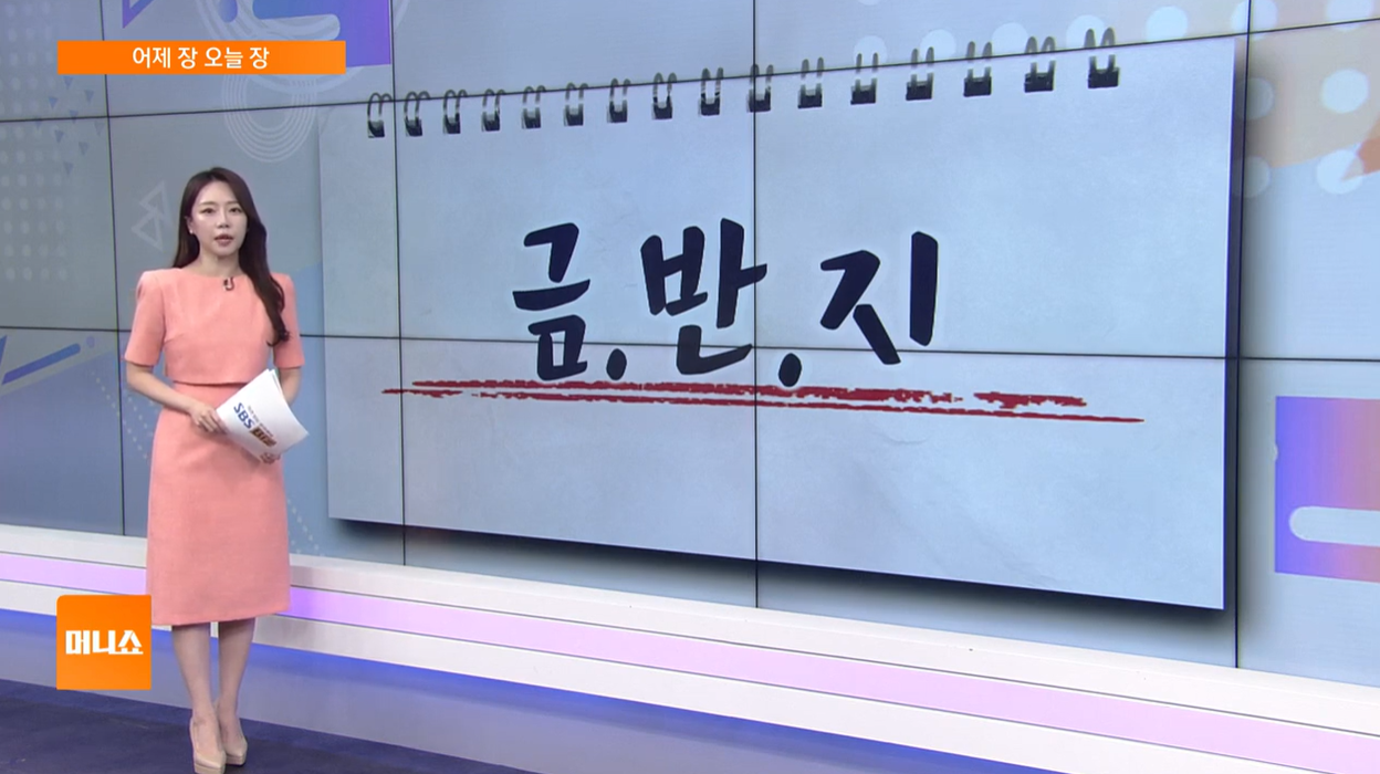 코스피 코스닥 금반지 금융 반도체 지주사 조방원 조선 방산 원전 헬스케어AI