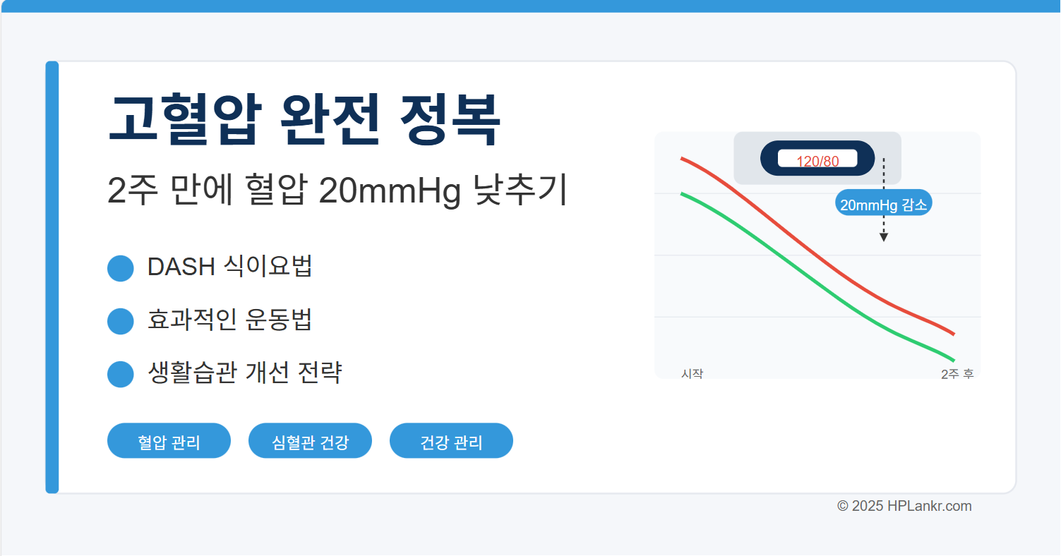 고혈압 완전 정복