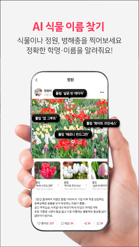 식물이름 찾기 어플, 식물이름 AI 찾기, 병충해 진단, 식물 수집 하기, 버픽