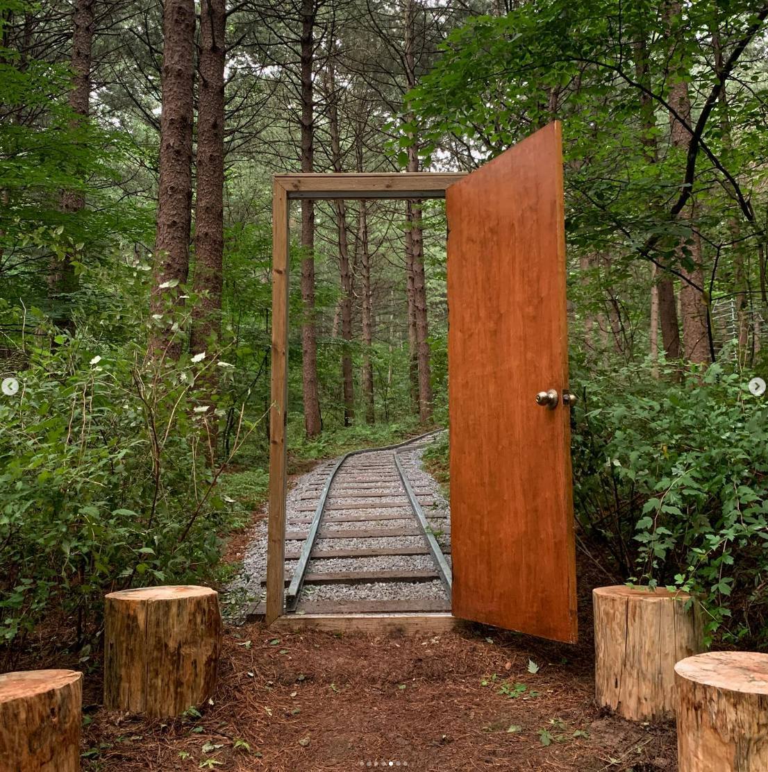 백두대간 봉자페스티벌 