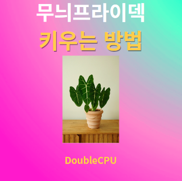 무늬프라이덱 키우기 물주기