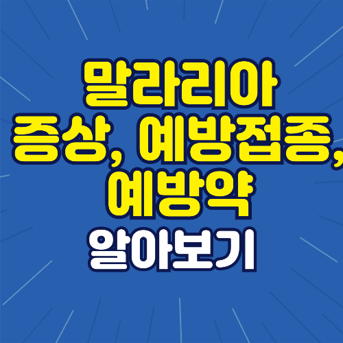 말라리아 증상 예방접종 예방약 알아보기